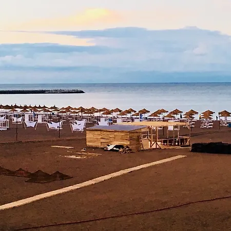 Arina Constanta